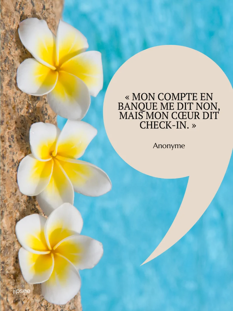 citation voyage. Mon compte en banque dit non mais mon coeur dit check in