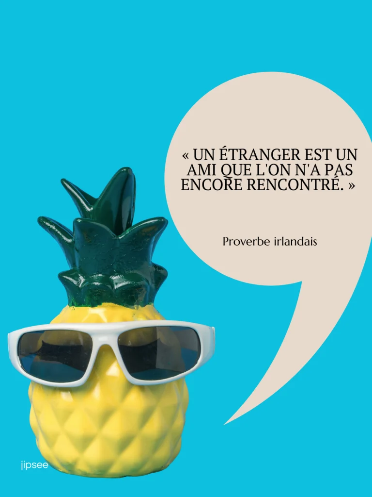 citation voyage un etranger est un ami que l'on a pas encore rencontré
