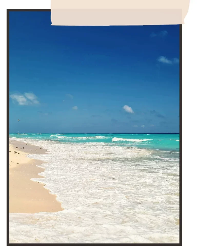 playa delfines mer des caraibes cancun