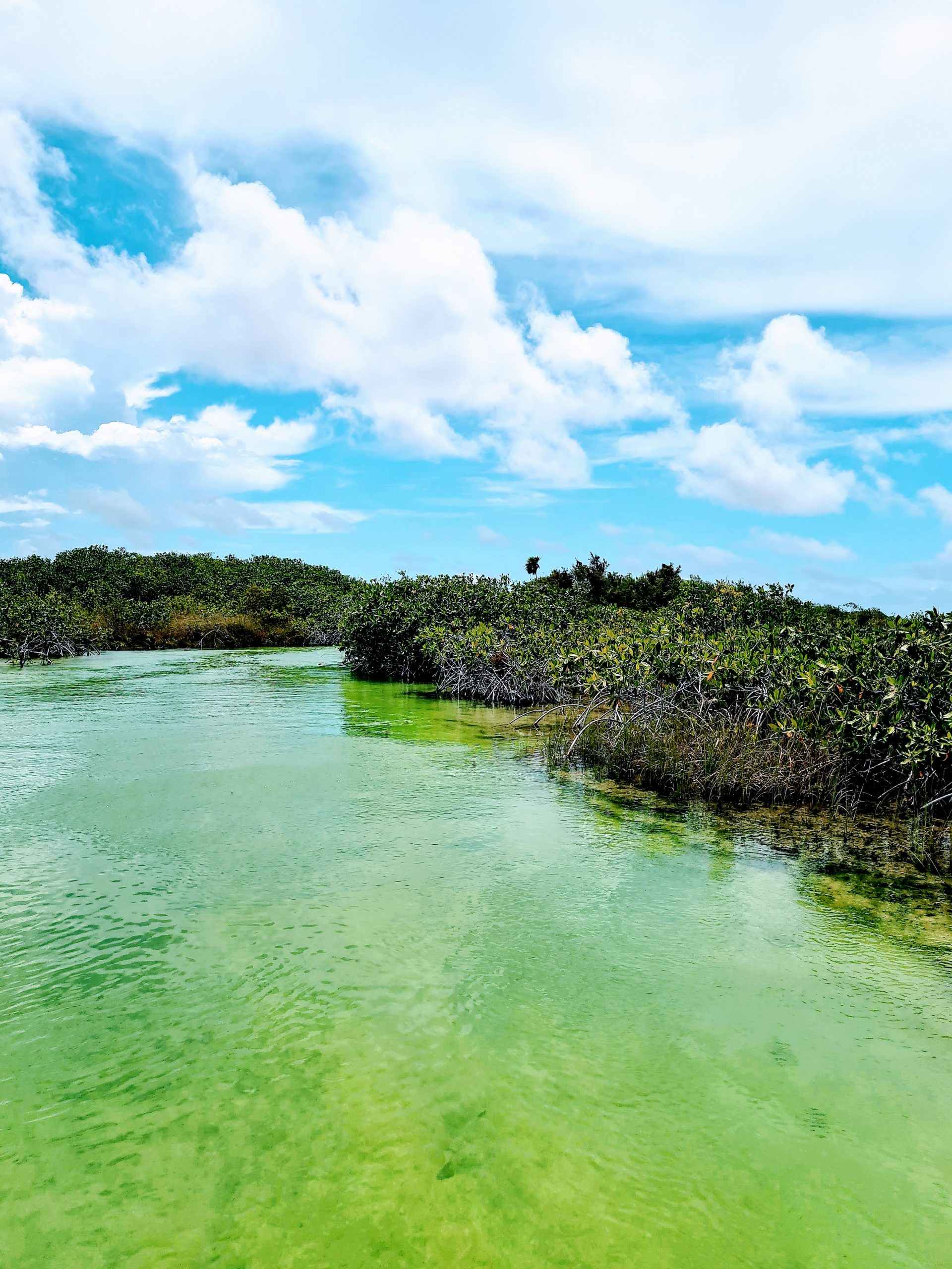 reserve-naturelle-sian-ka-an-canal-maritime
