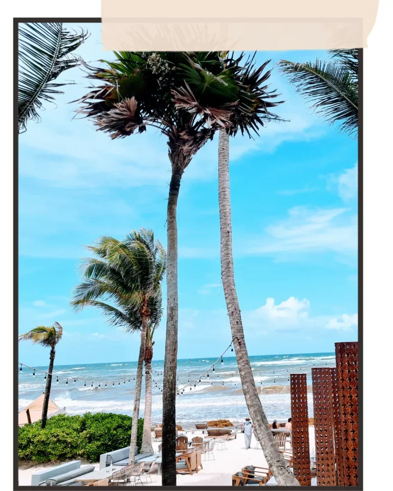palmier et beach club a tulum