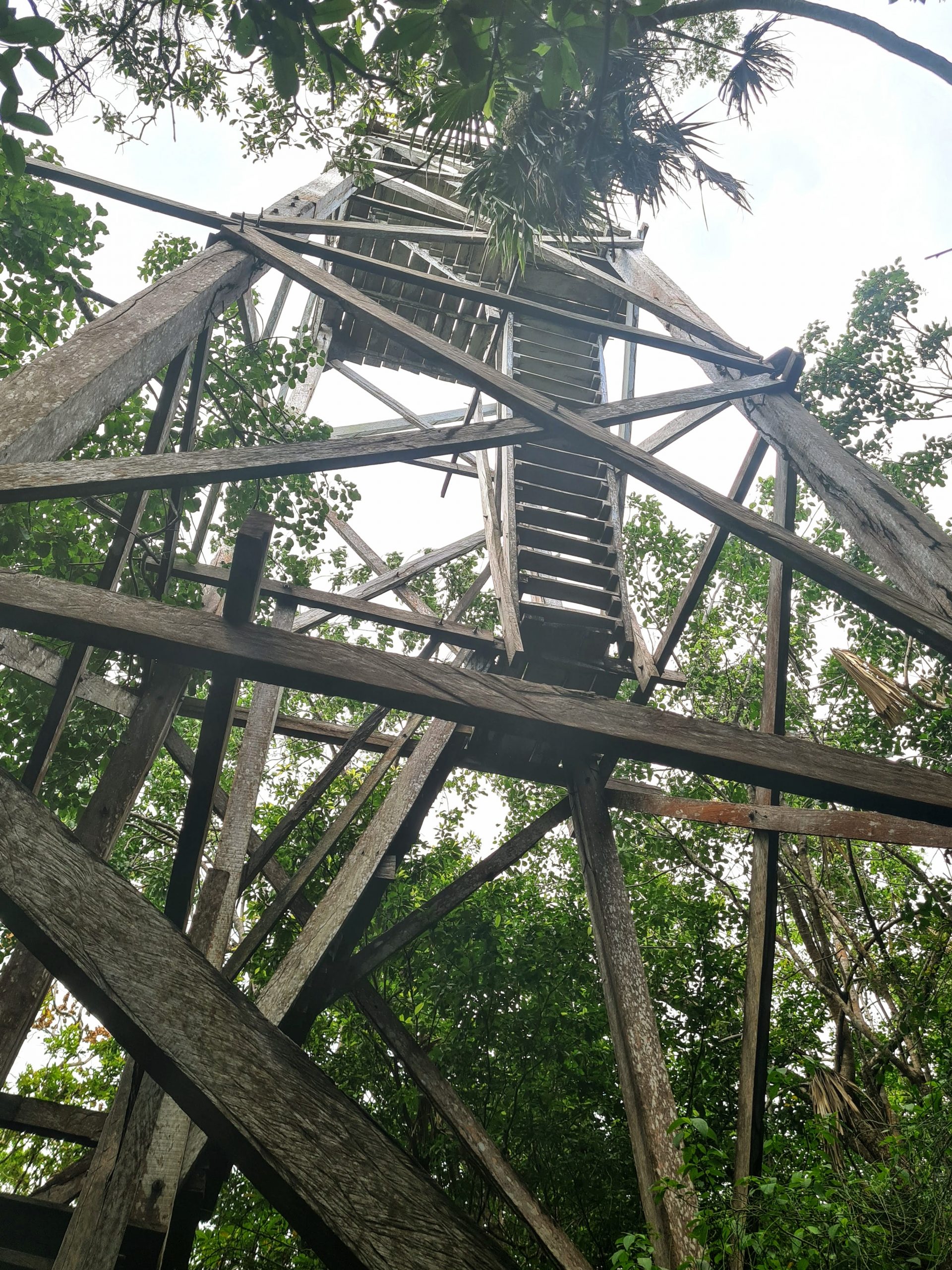 tour-bois-point-de-vue-mexique