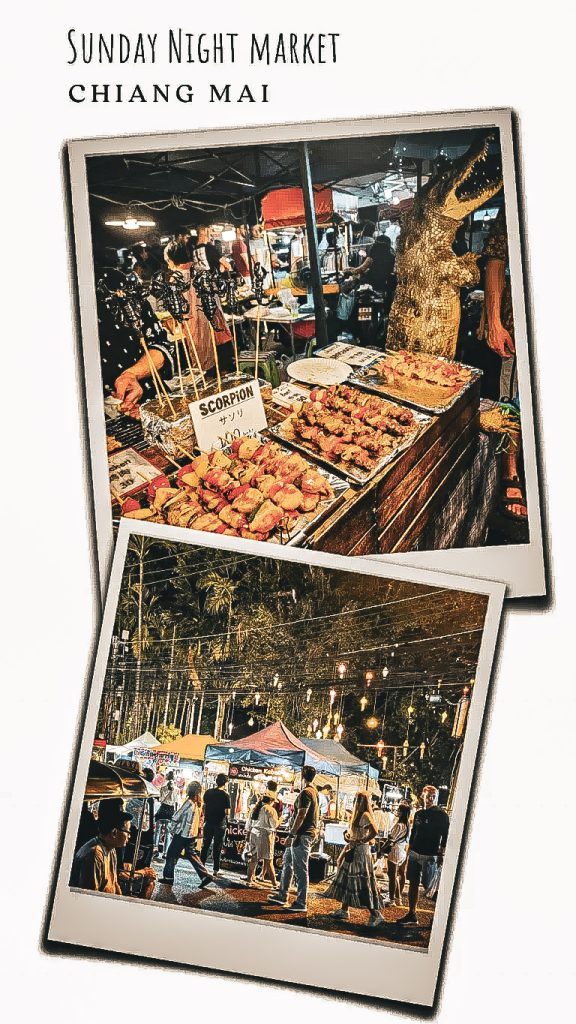 stand de crocodile et de scorpions dans un night market thailandais