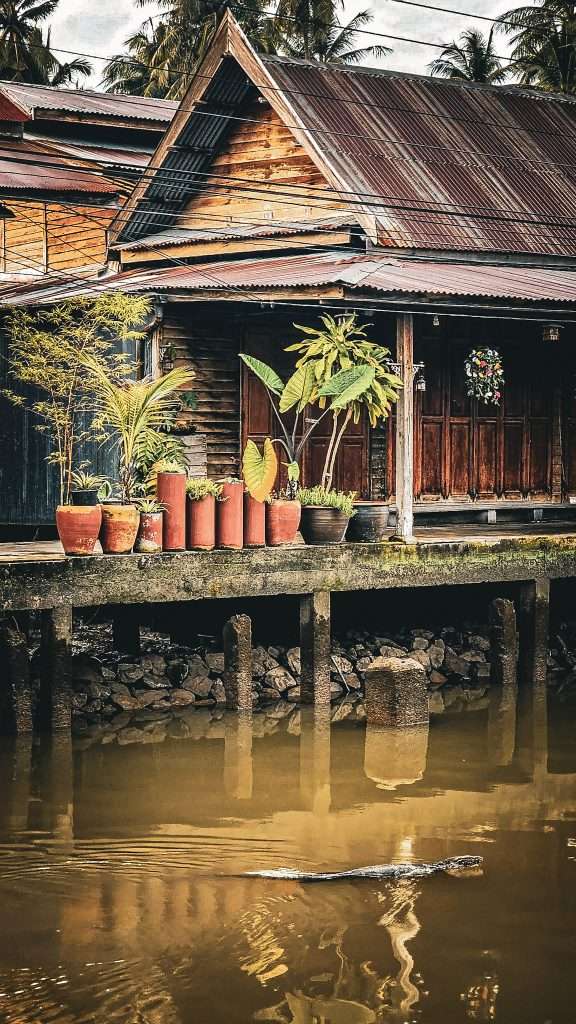 maisons typique thailandaise et varan nageant dans un klong