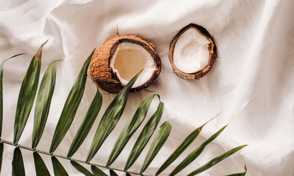 noix de coco et feuille de cocotier