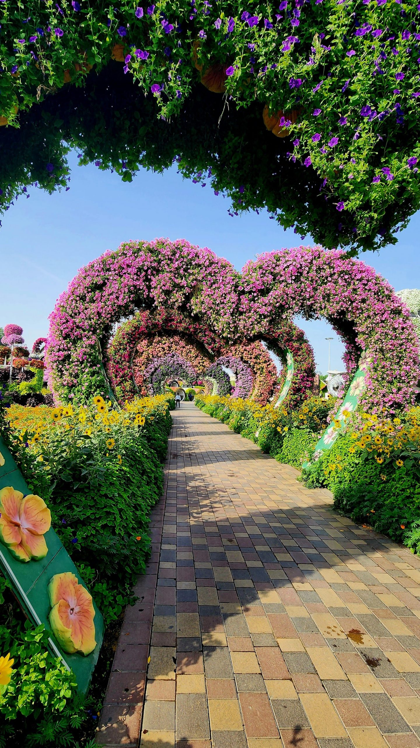 allee-fleurie-miracle-garden