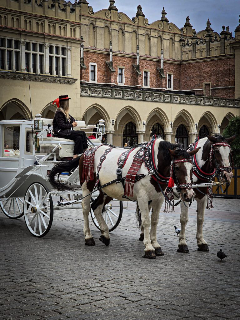 caleche sur la place pricipale de cracovie en pologne