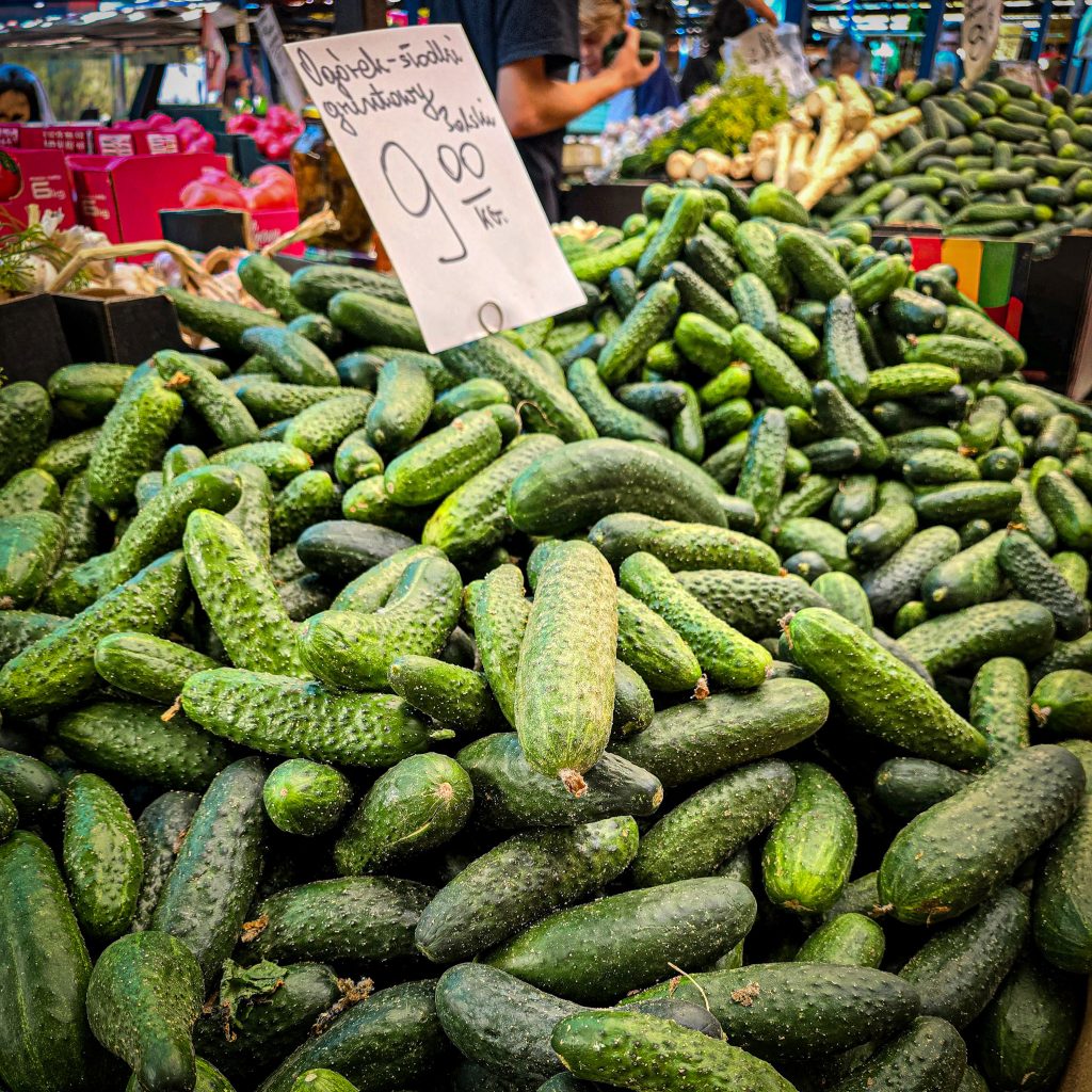 cornichons geants de pologne sur un marche de cracovie