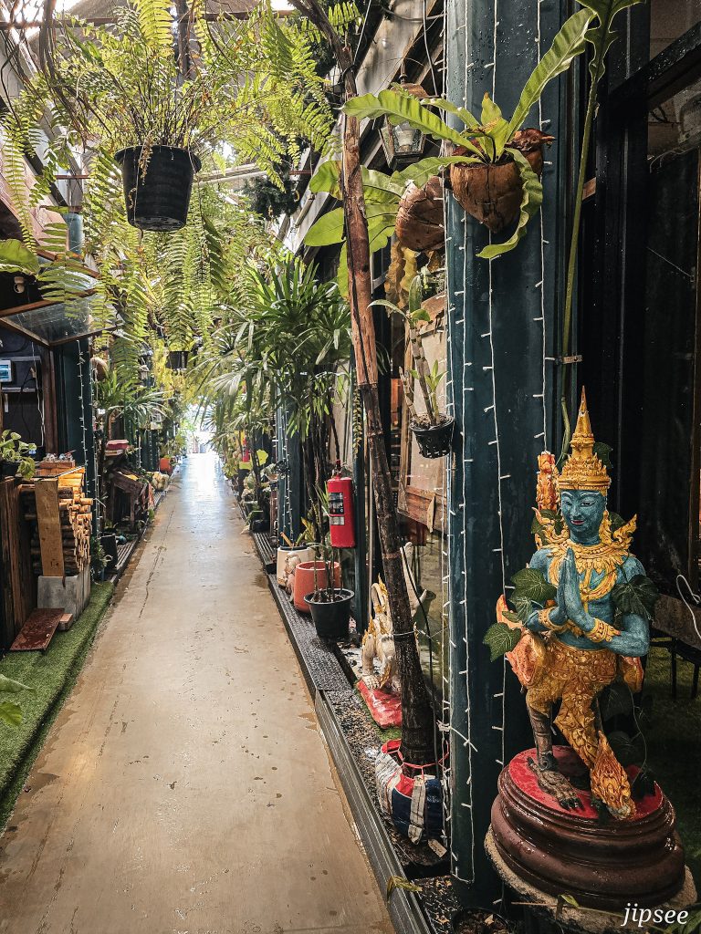 allee des plantes au marche de chatuchak a bangkok