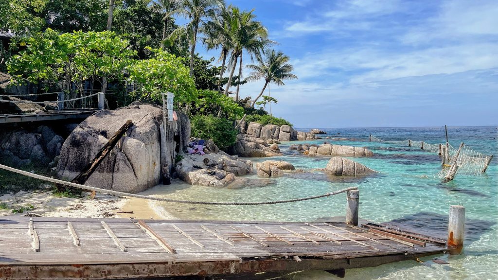 plage paradisiaque ponton et palmiers a koh tao en thailande
