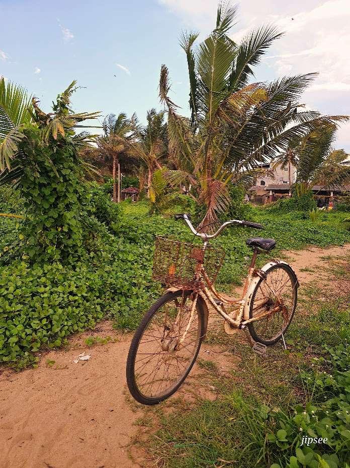 negombo-sri-lanka-velo