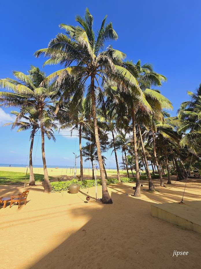 palmeraie-negombo