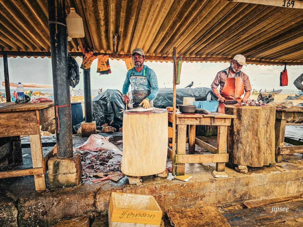 pecheurs en plein decoupage de poissons au mache de negombo au sri lanka