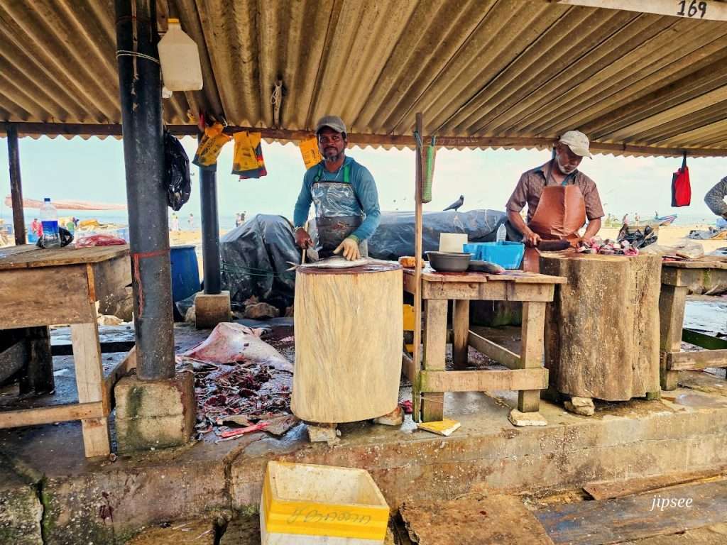 pecheurs-marche-poisson-sri-lanka