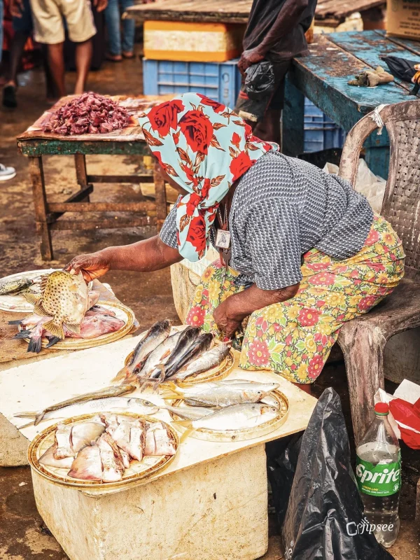 dame agée de profil un foulard a fleur sur la tete assise derriere son stand de poissons au marche