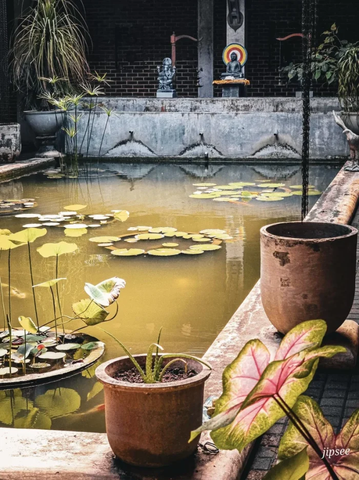 bassin interieur du spa villa jasmine a negombo