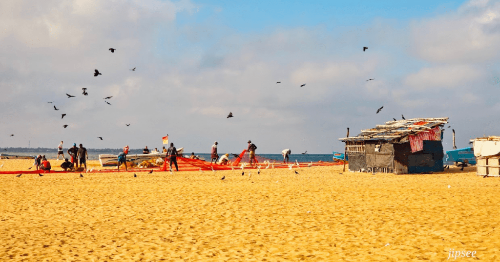 carnet-de-voyage-negombo-sri-lanka