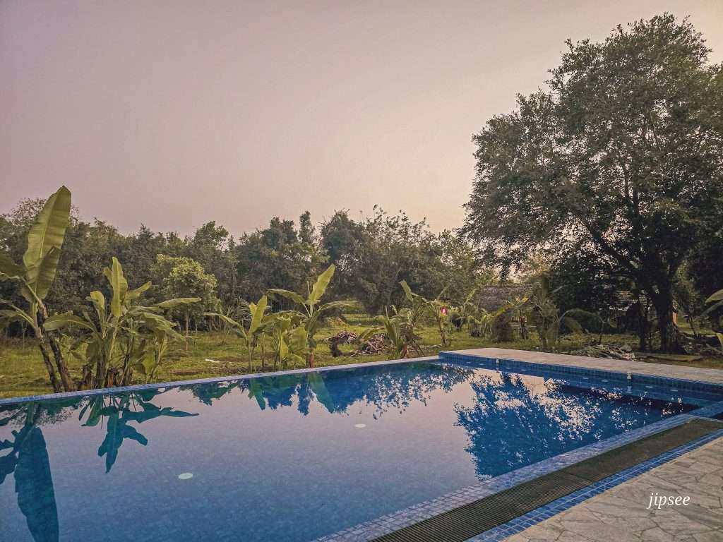 piscine-hotel-lion-rest-sri-lanka