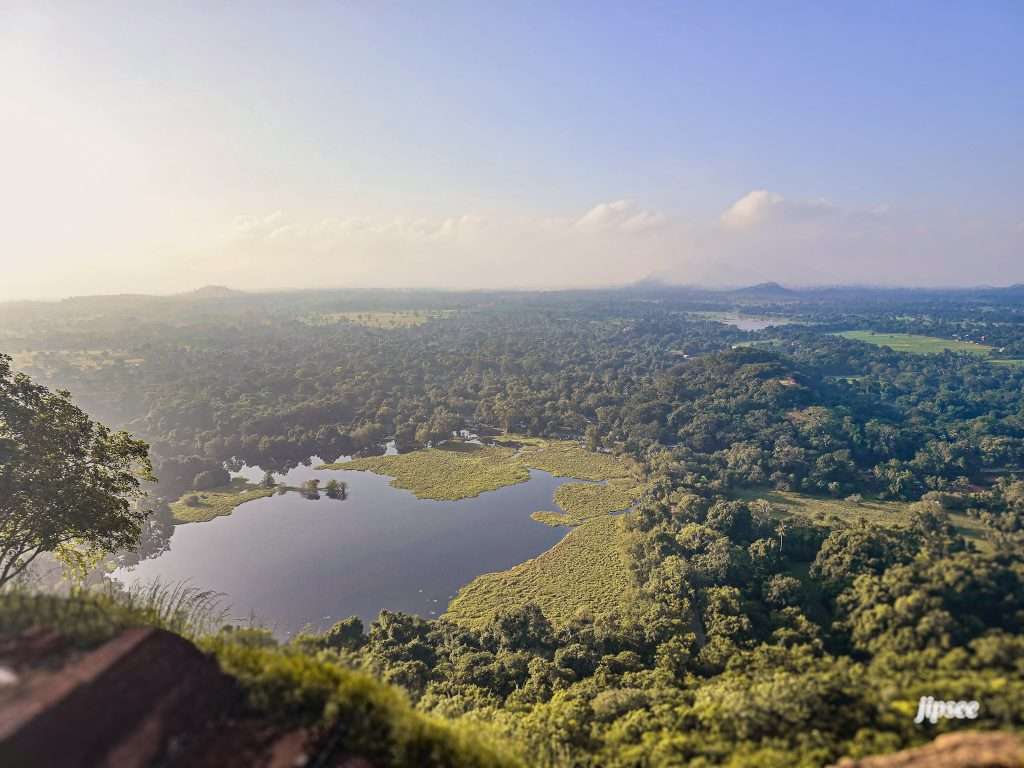 vue-jungle-rocher-du-lion-sigiriya