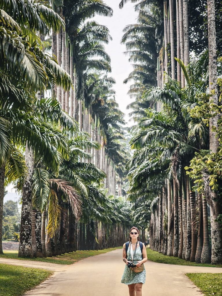 femme marchant sur l'allee des palmiers du royal garde de kandy au sri lanka