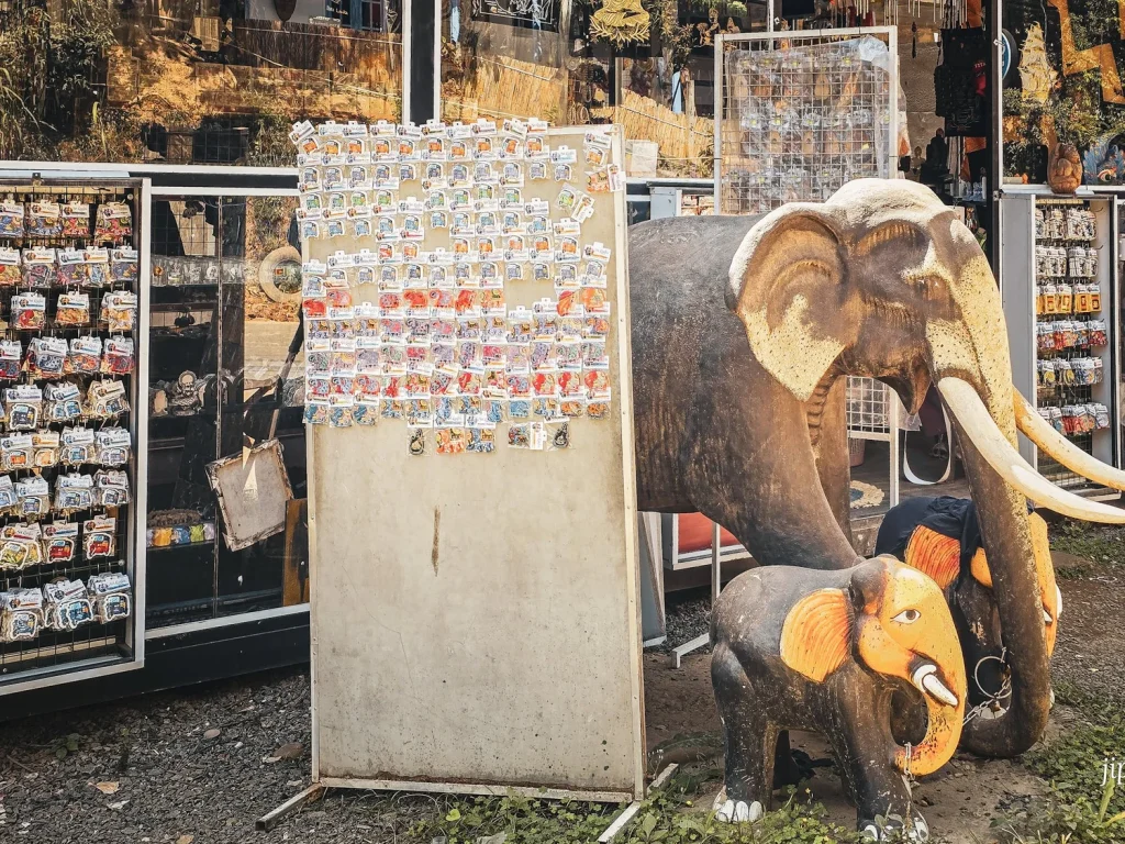 elephant en bois derriere un tableau de magnet devant une boutique de souvenirs