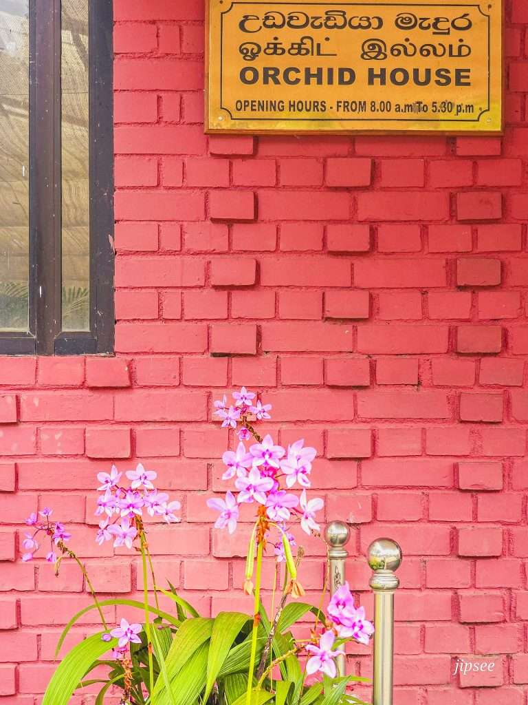 entree-serre-aux-orchidés-jardin-botanique-kandy
