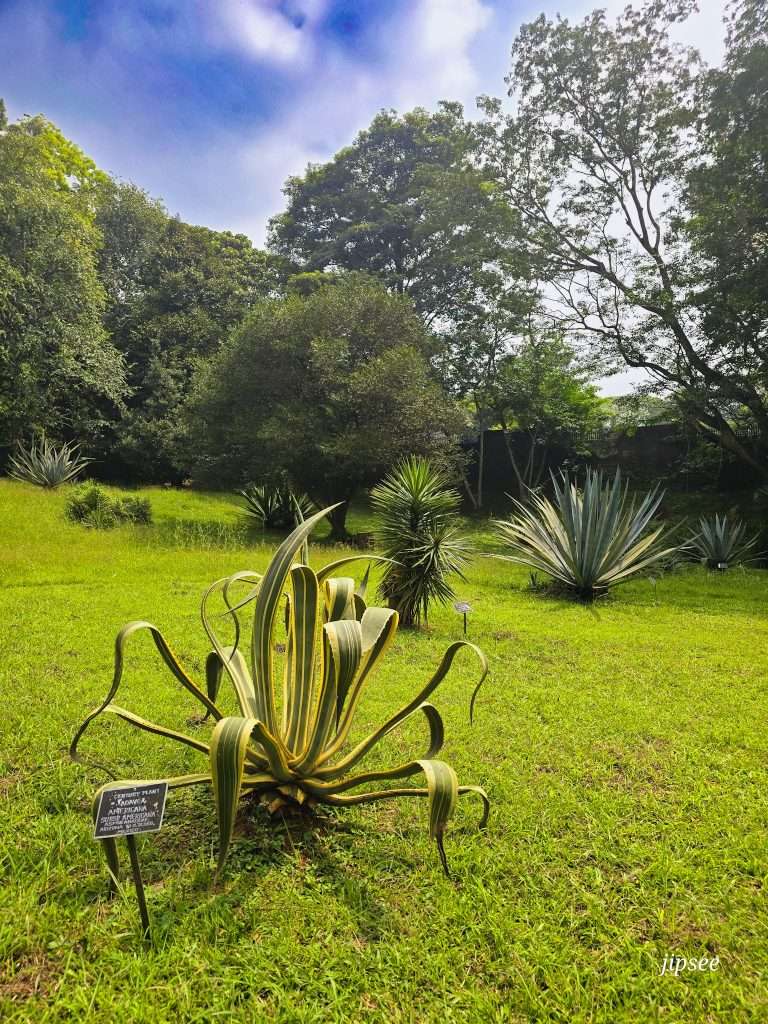 jardin-aux-epices-kandy