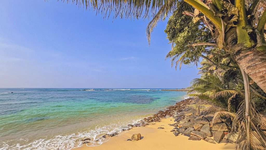 plage-mirissa-beach-sri-lanka