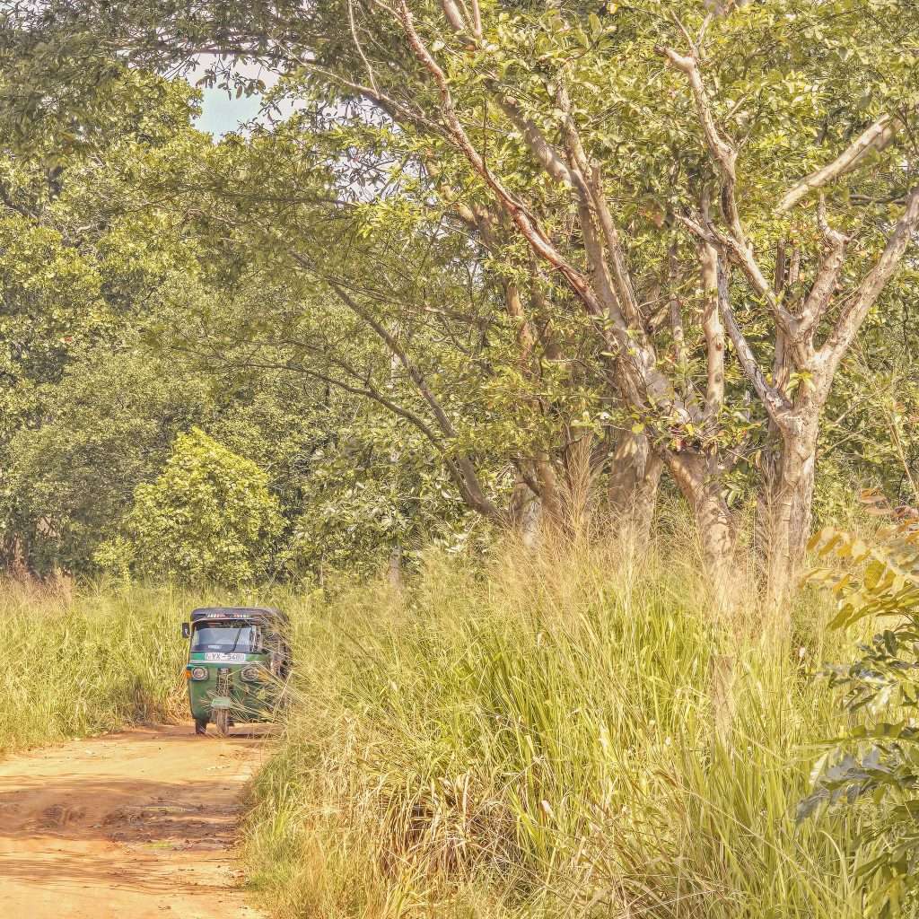 tuk-tuk-dans-la-jungle