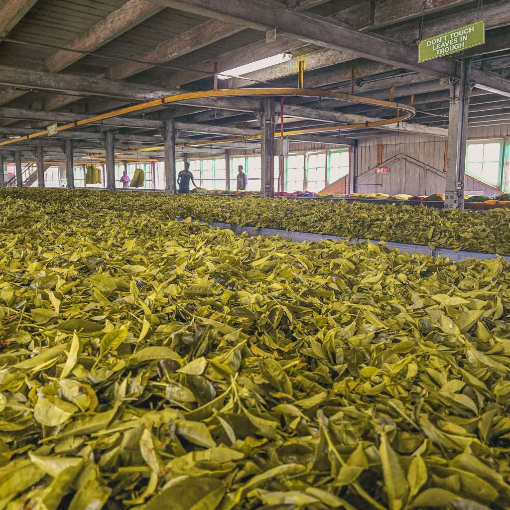 usine-fabrication-the-sri-lanka