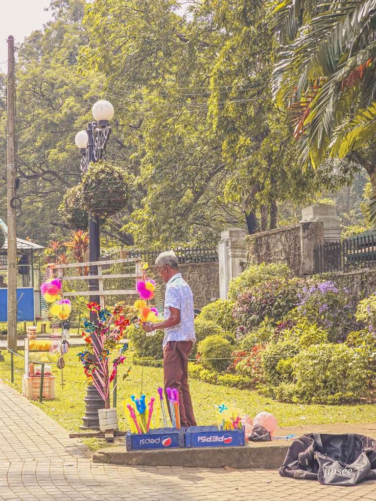 vendeur-jardin-botanique-kandy
