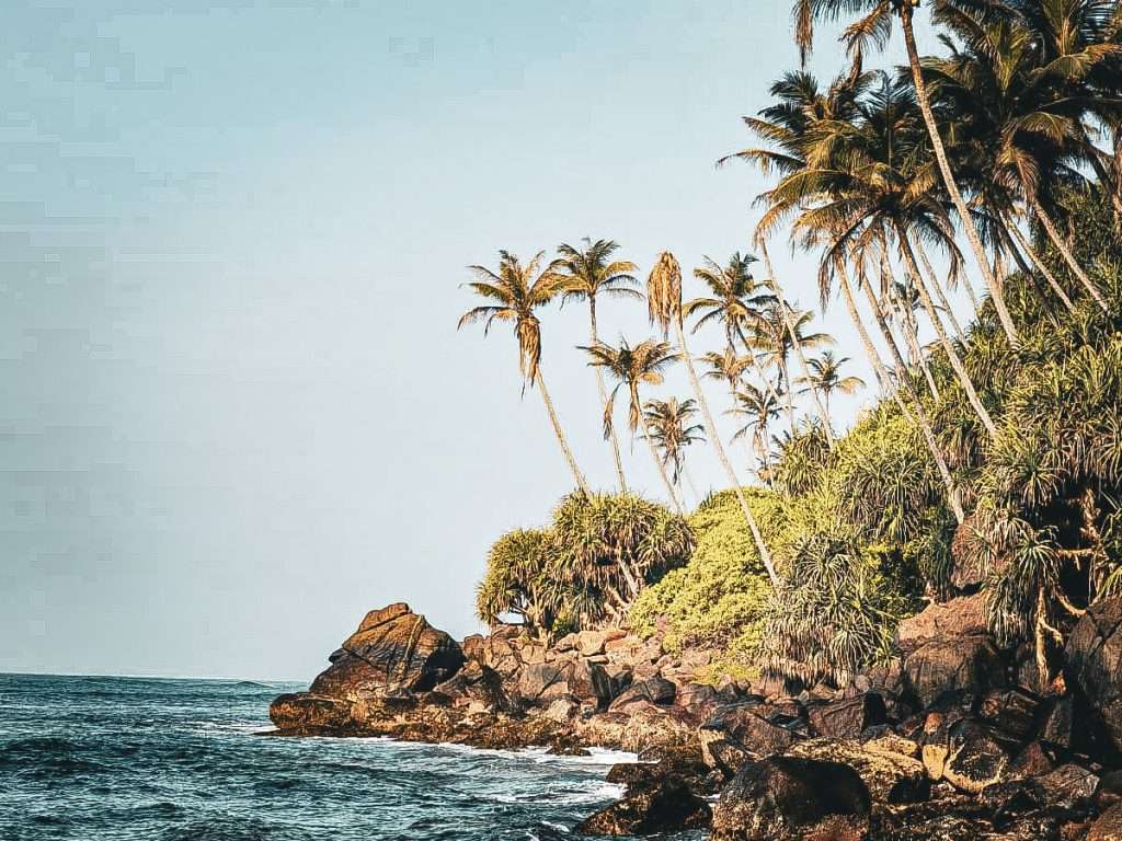 bord-de-plage-ocean-indien-mirissa-sri-lanka