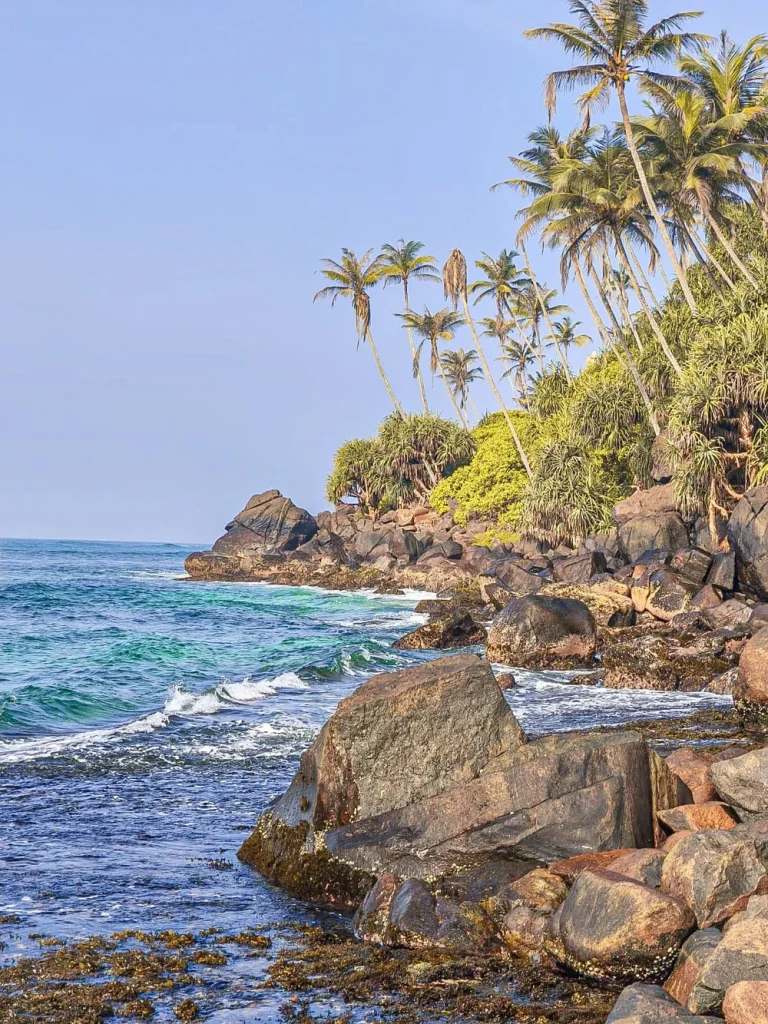 rochers et palmiers en bord d'ocean indien sur la cote sud du sri lanka