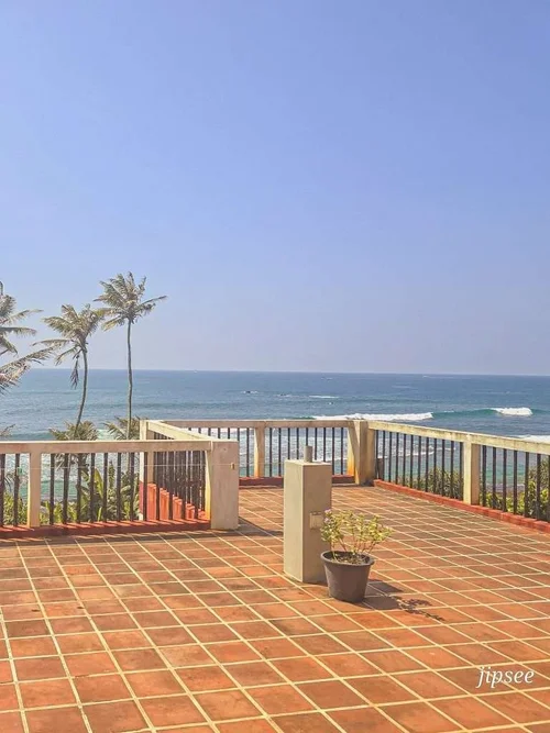 rooftop palmier et mer en fond a mirissa au sri lanka