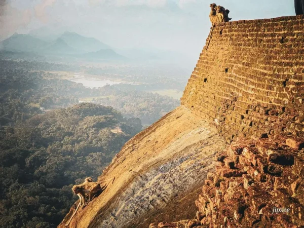 deux singes sur des pierres au sommet du rocher du lion a sigiriya