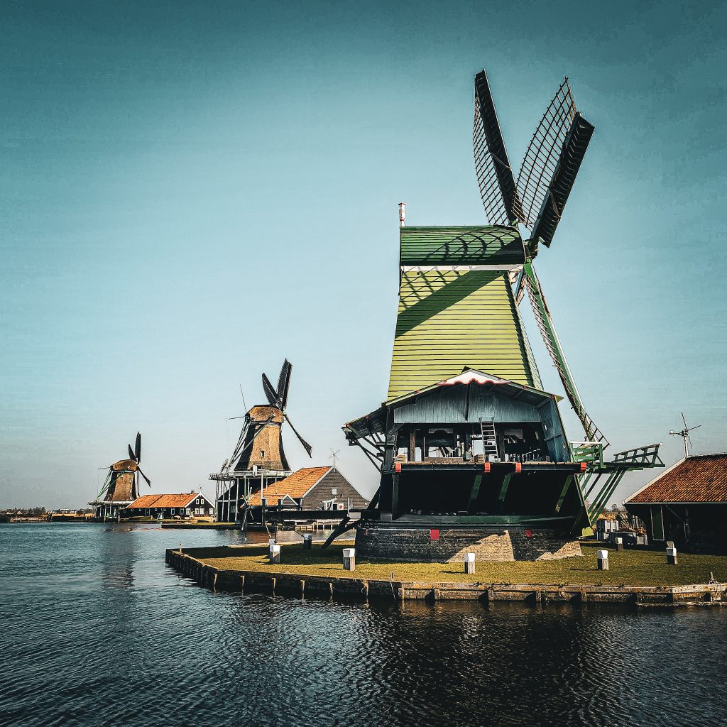 vue sur trois differents moulins a la facade verte a zaanse schans aux pays bas