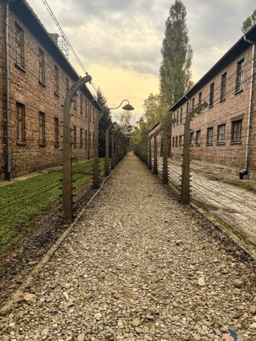 Allée intérieure du camp d'Auschwitz-Birkenau en Pologne