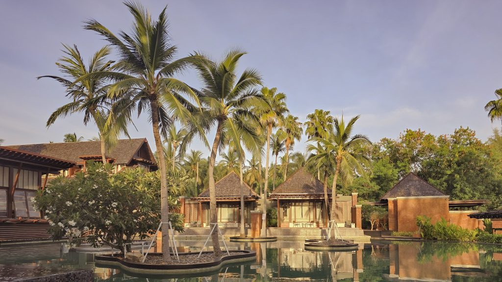 palmier autour de la piscine du mai hotel a samui