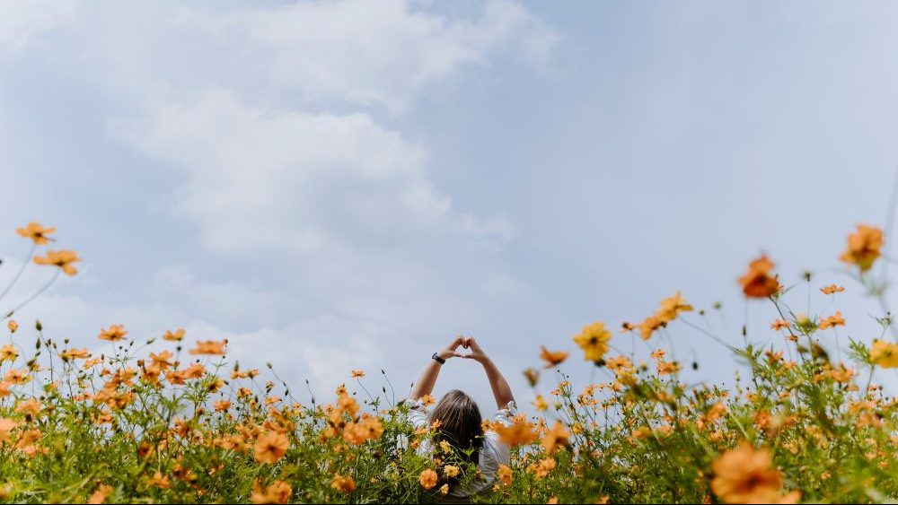 femme dans un champ de fleurs de dos faisant un coeur avec les mains