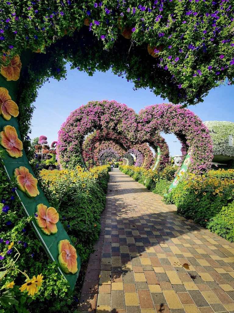 arche de fleurs en forme de coeur a l'entree du miracle garden de dubai
