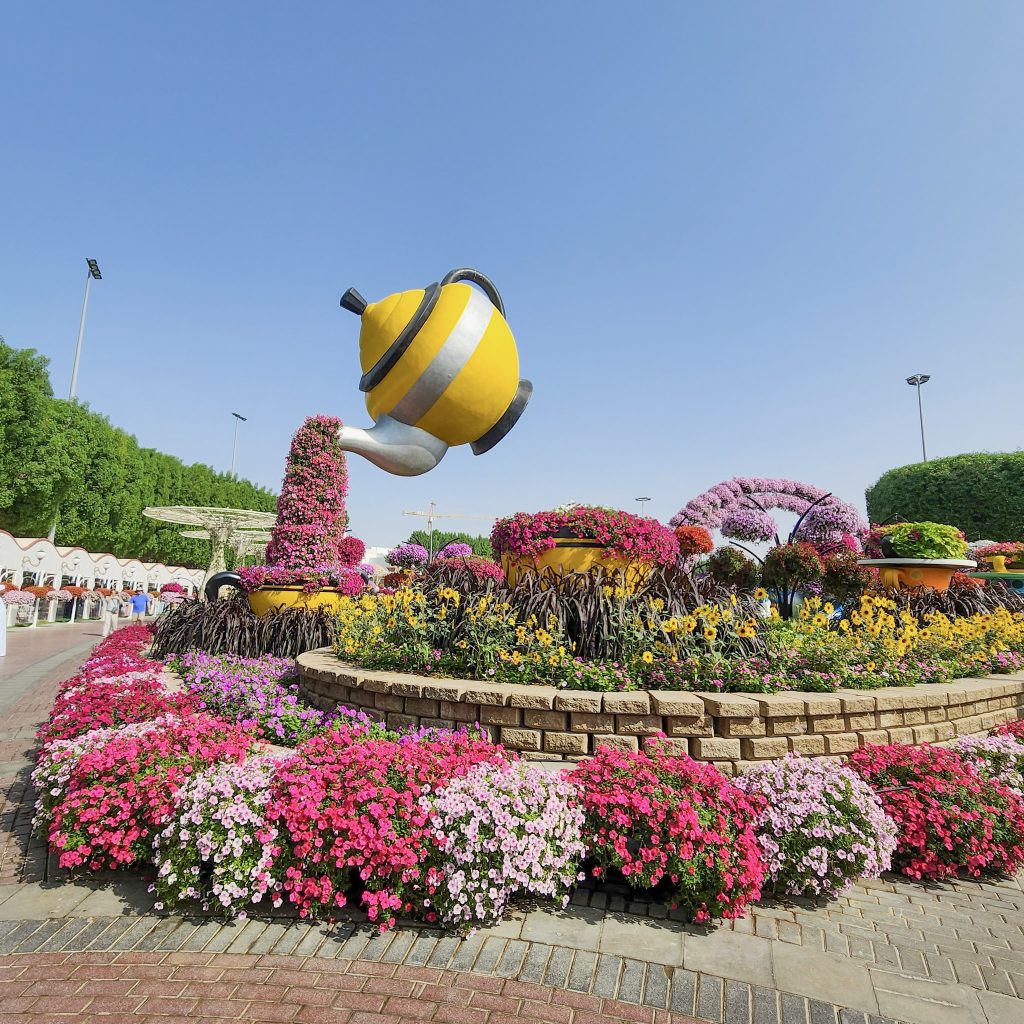 tasse en levitaion au dessus d'un parterre de fleurs au dubai miracle garden