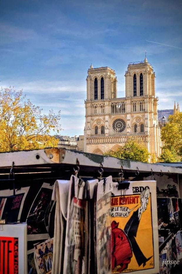 bouquinistes de la seine avec vue sur notre dame de paris