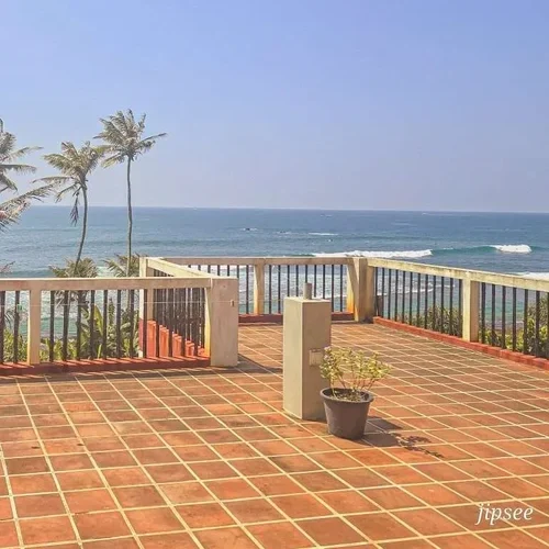 rooftop palmier et mer en fond a mirissa au sri lanka