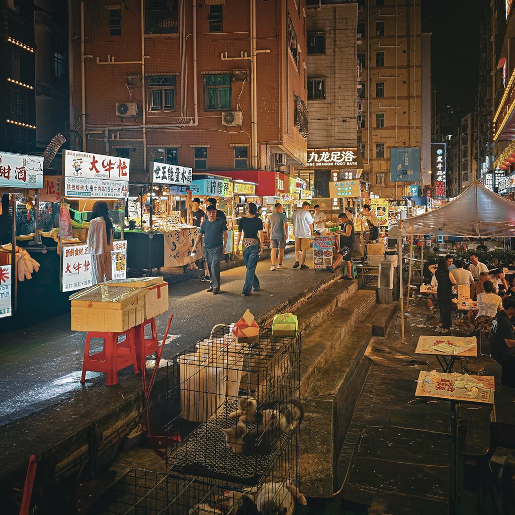 night market animé de shenzhen