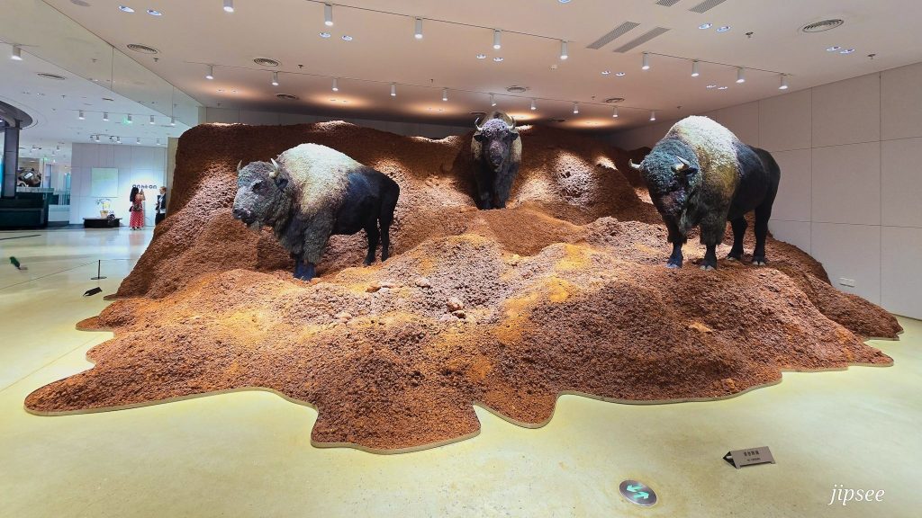 exposition de bisons au Haus Nowhere, au MixC World de shenzhen
