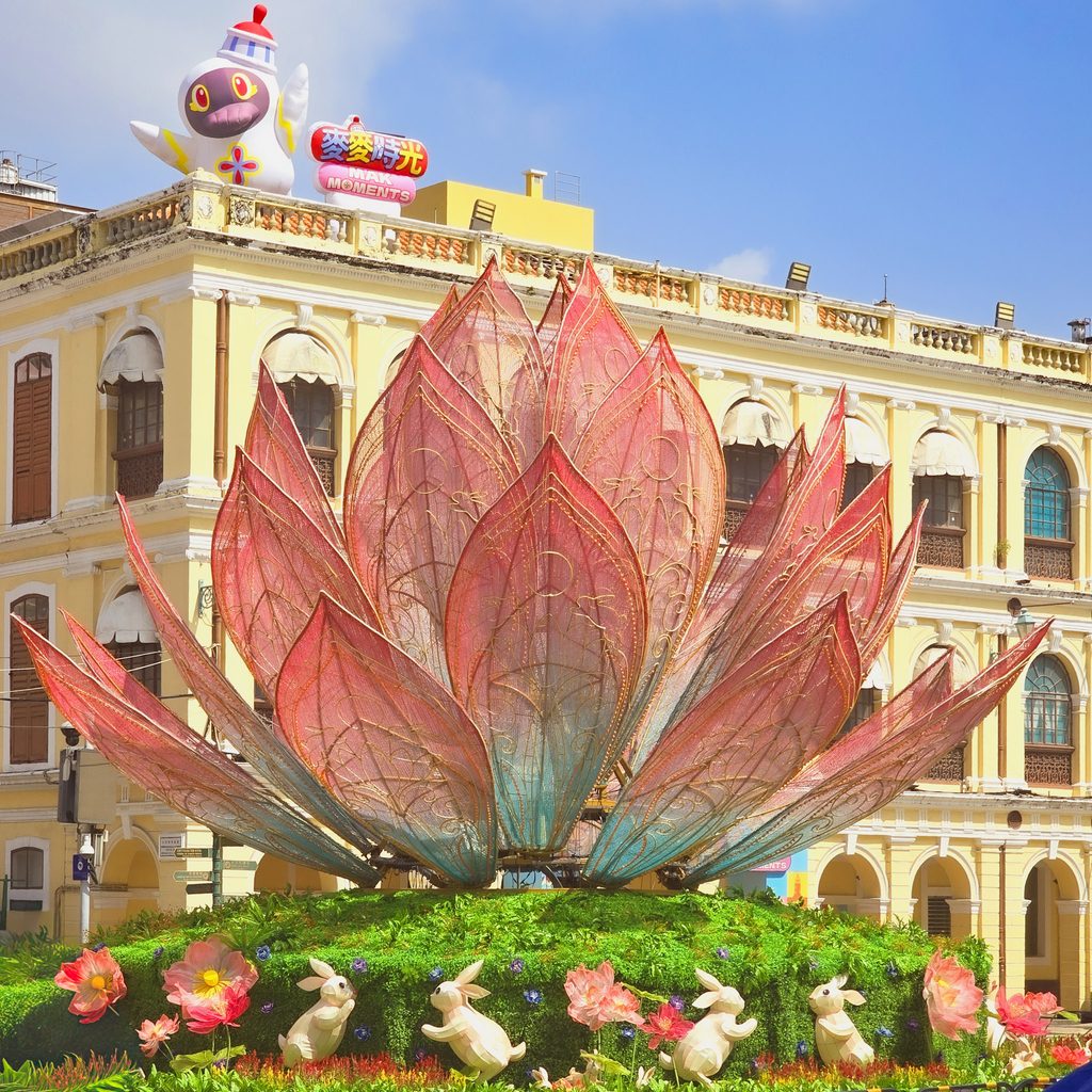 decoration fleur geante et la^pin dans le vieux macao