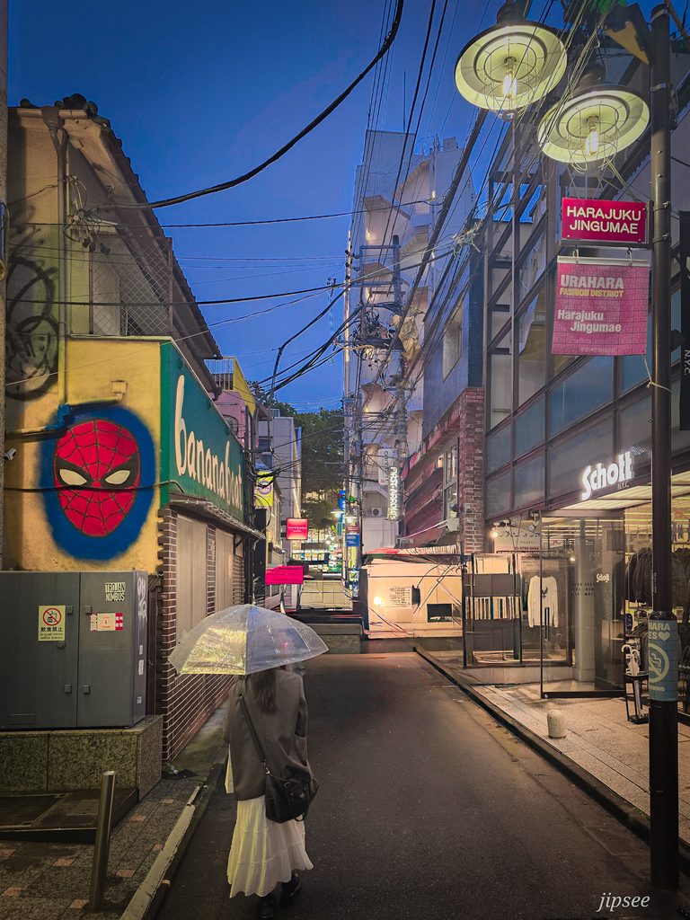 femme de dos tenant un parapluie dans une ruelle d'asakusa