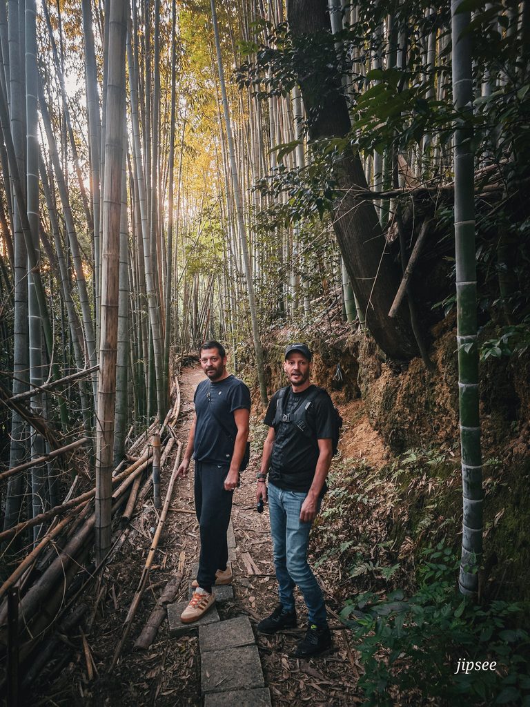 hommes en balade dans une foret de bambous au japon