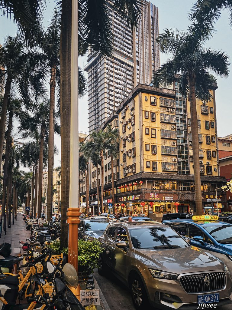 allee de palmiers animée dans une avenue de shenzhen en chine